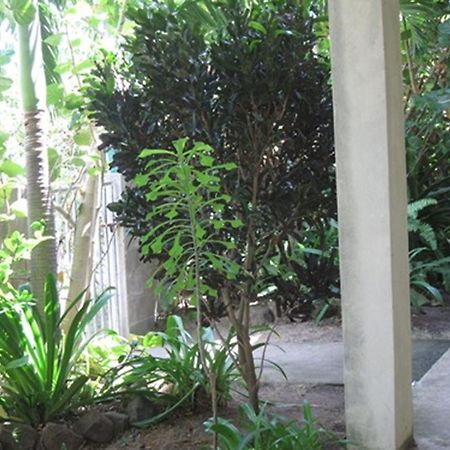 Culture House Hotel Basseterre Kültér fotó