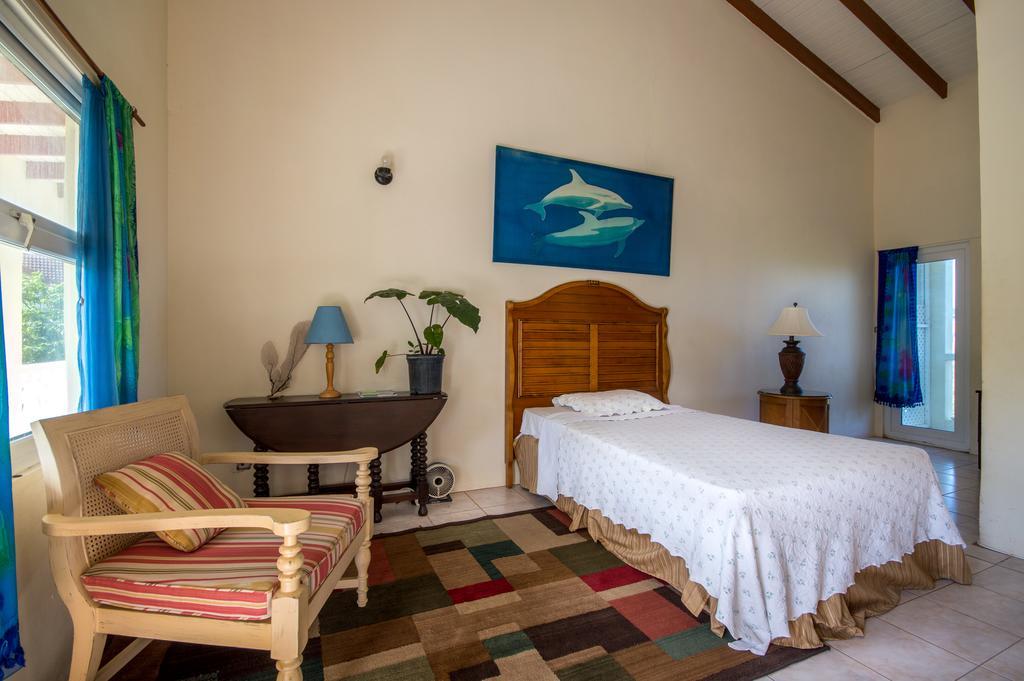 Culture House Hotel Basseterre Kültér fotó