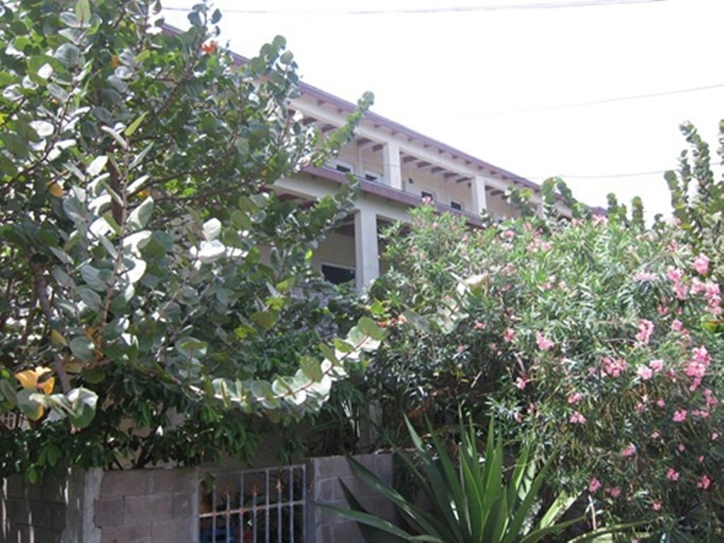 Culture House Hotel Basseterre Kültér fotó