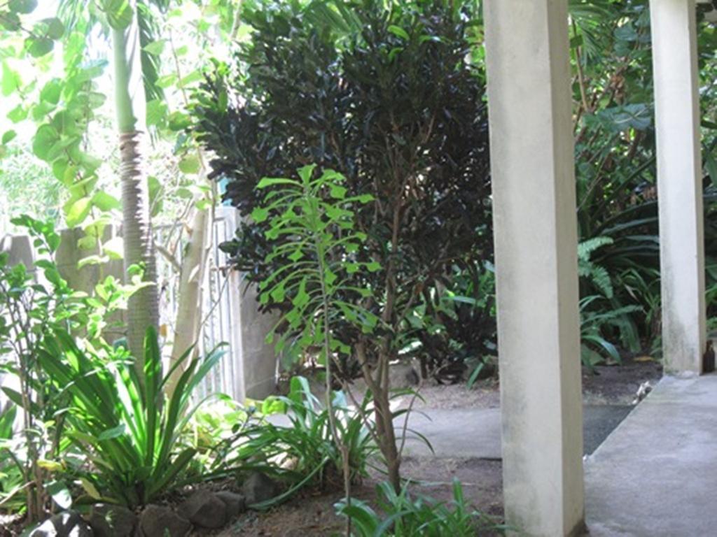 Culture House Hotel Basseterre Kültér fotó